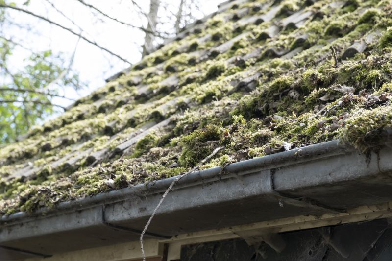 Contact About Roof Moss Removal