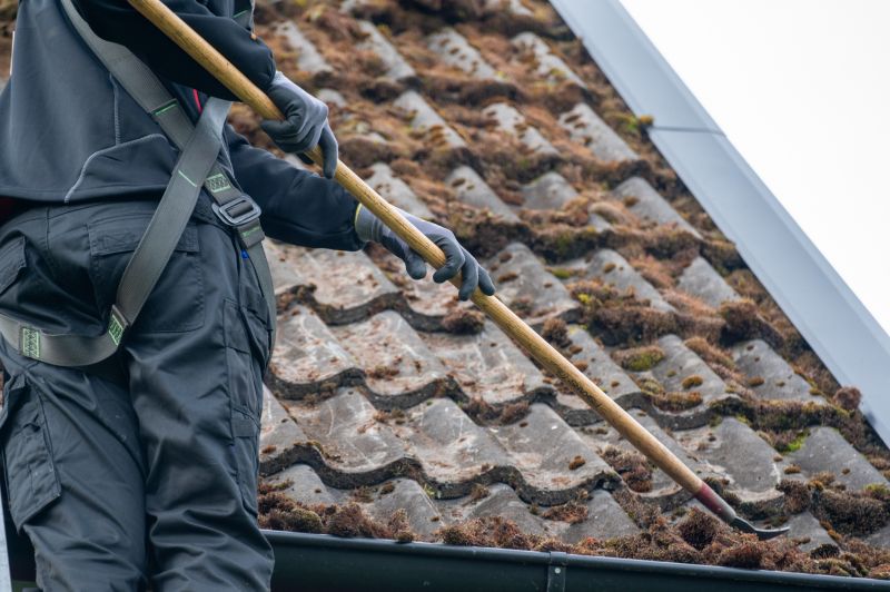 Roof Moss Removal