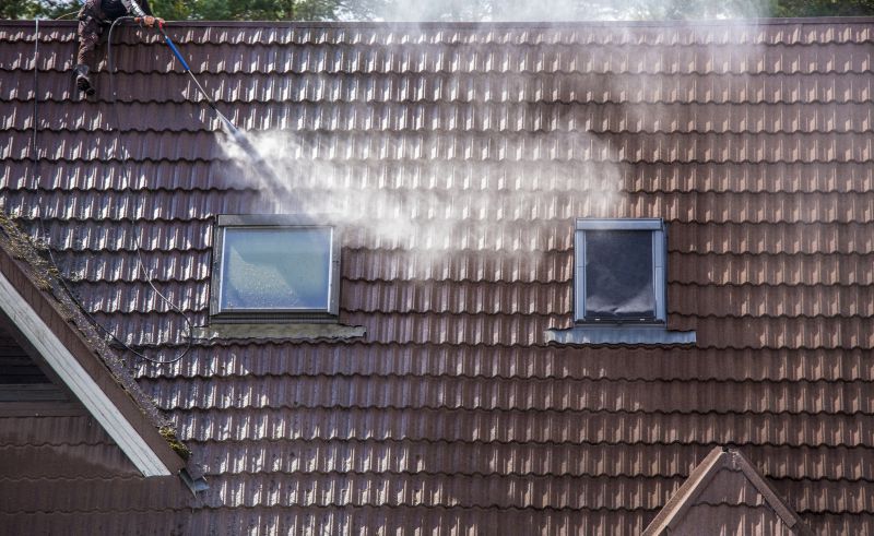 Asphalt Shingles Cleaning