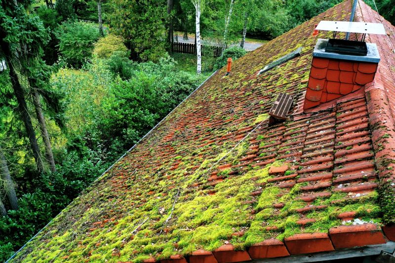 Roof Moss Removal