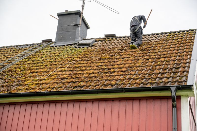 Moss-covered Roof Before Removal