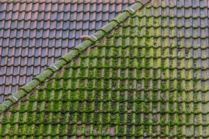 Close-up of Clean Roof Surface